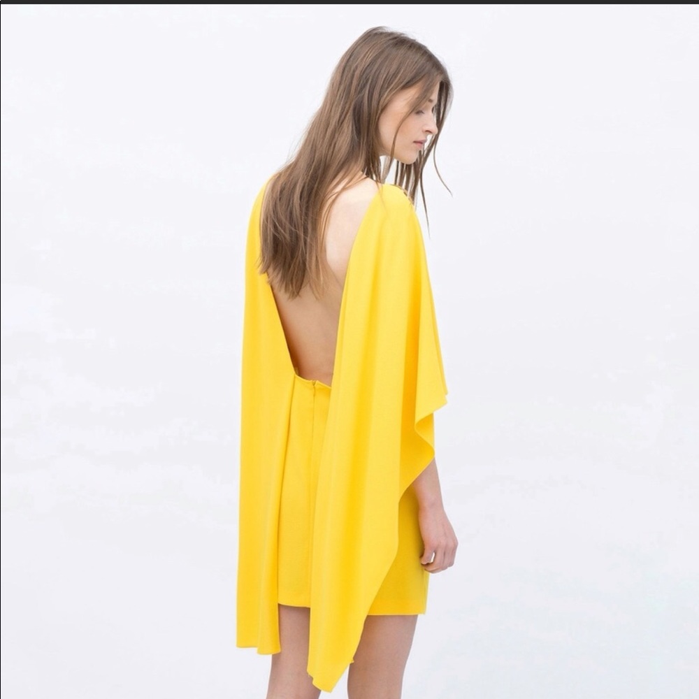 Zara dress